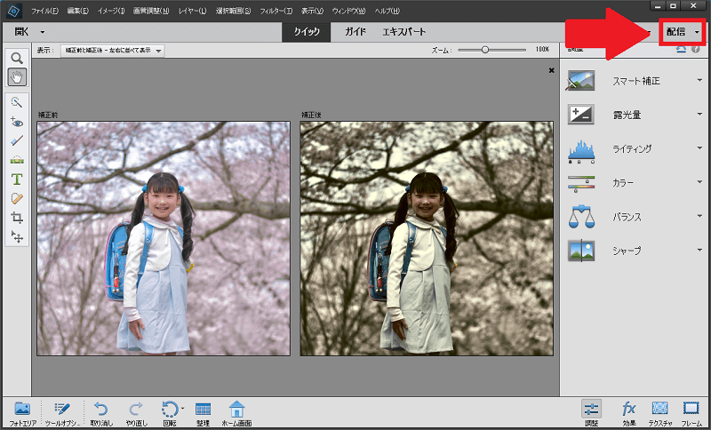 Photoshop Elements の使い方 画像を自動で編集 整理 Freesoftconcierge